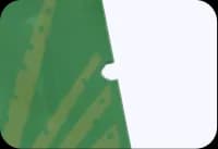 V - Cut