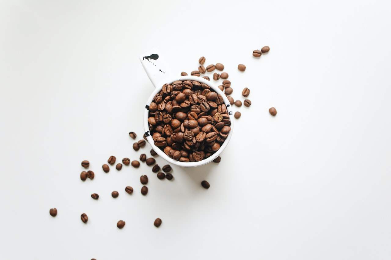 usaha kopi